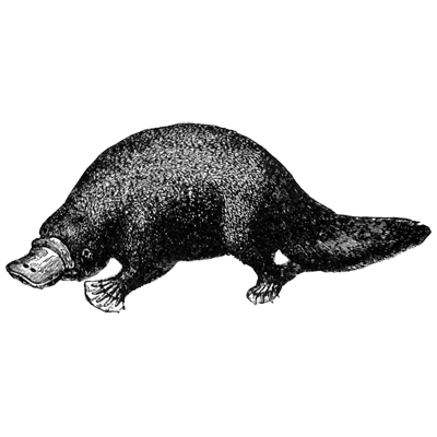 Stanton Group profile image
