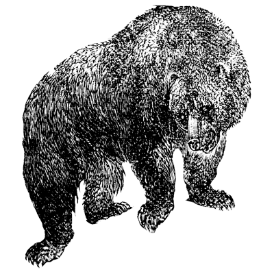 Parker LLC profile image