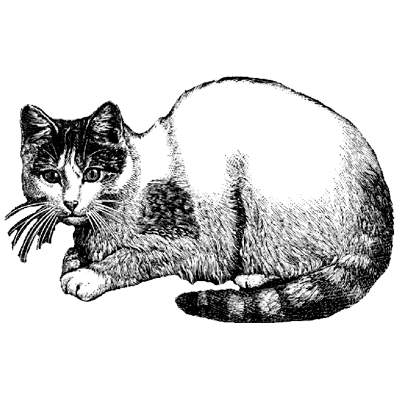 wunschdee profile image