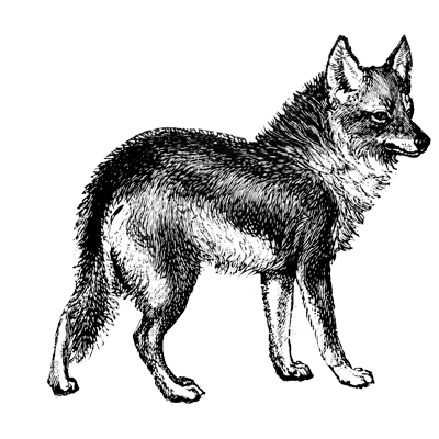 hauck_franklin profile image