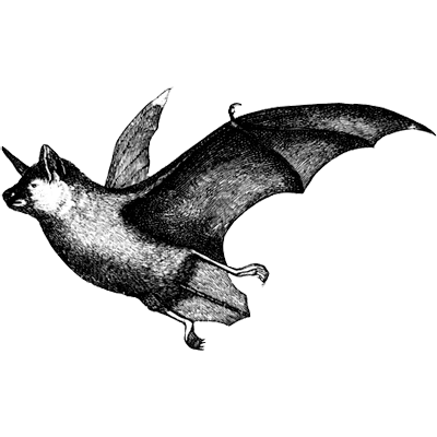 larkinamado profile image